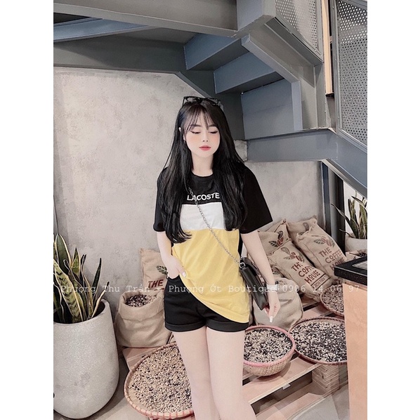 Áo Phông La.Cos Phối 3 Màu