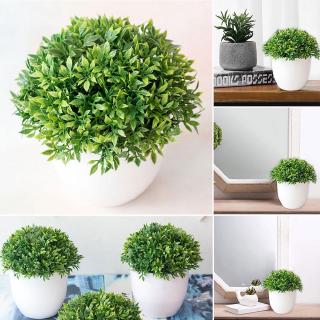 Chậu Cây Giả Trang Trí nội thất