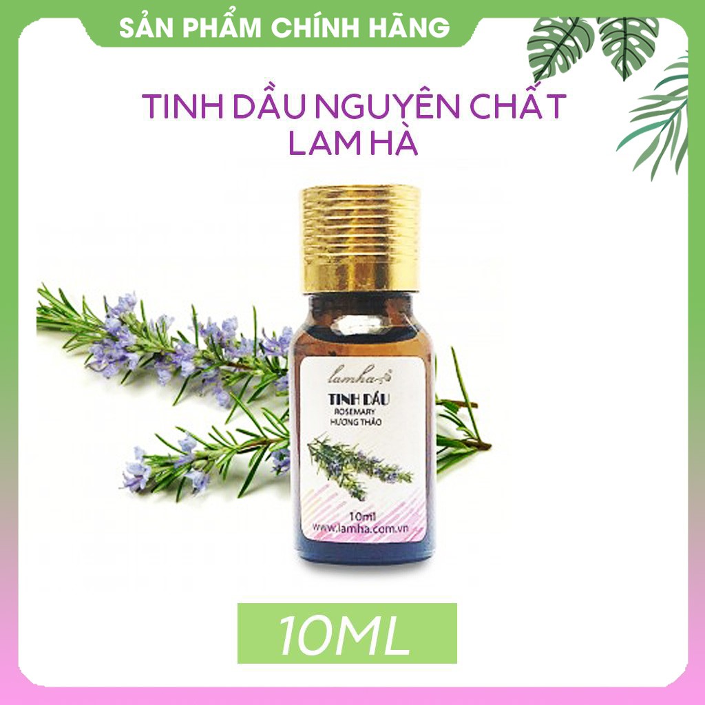 Tinh dầu hương thảo Lam Hà ngừa rụng tóc và làm mượt tóc, ngừa mụn và đuổi muỗi 10ml Tinh Dầu 100 Shop