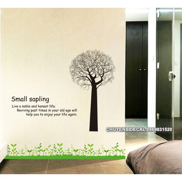 Decal trang trí tường - Thân Cây Rể Đen độc đáo