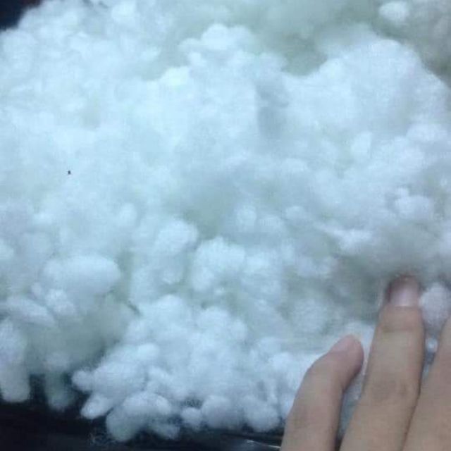 Gòn bị nhồi thú