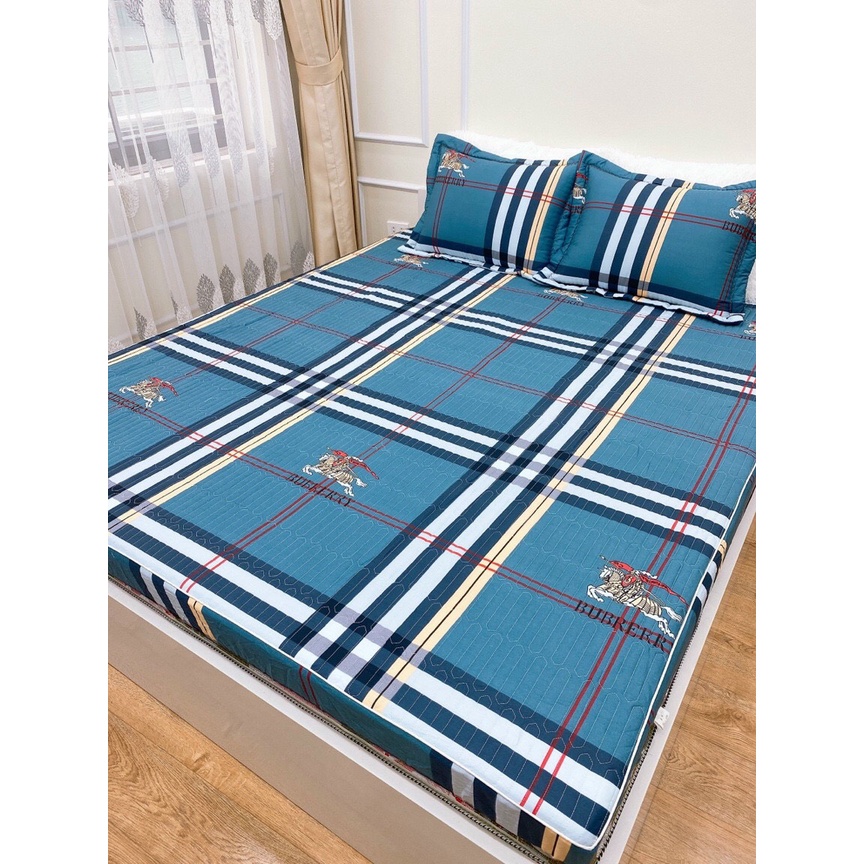 Set Ga Cotton Chun Trần Bông Cao Cấp Kèm Hai Vỏ Gối, Ga Chun Trần 3 Lớp Hàng Loại 1