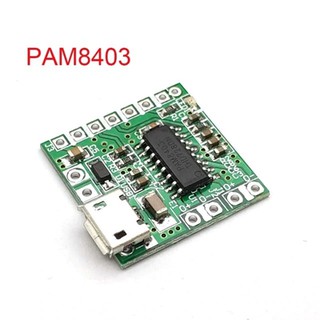 Module âm thanh 2x3w pam8403 micro usb