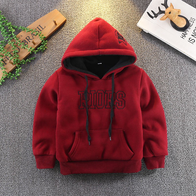 ÁO nỉ lót lông HOODIE cho bé RIOS