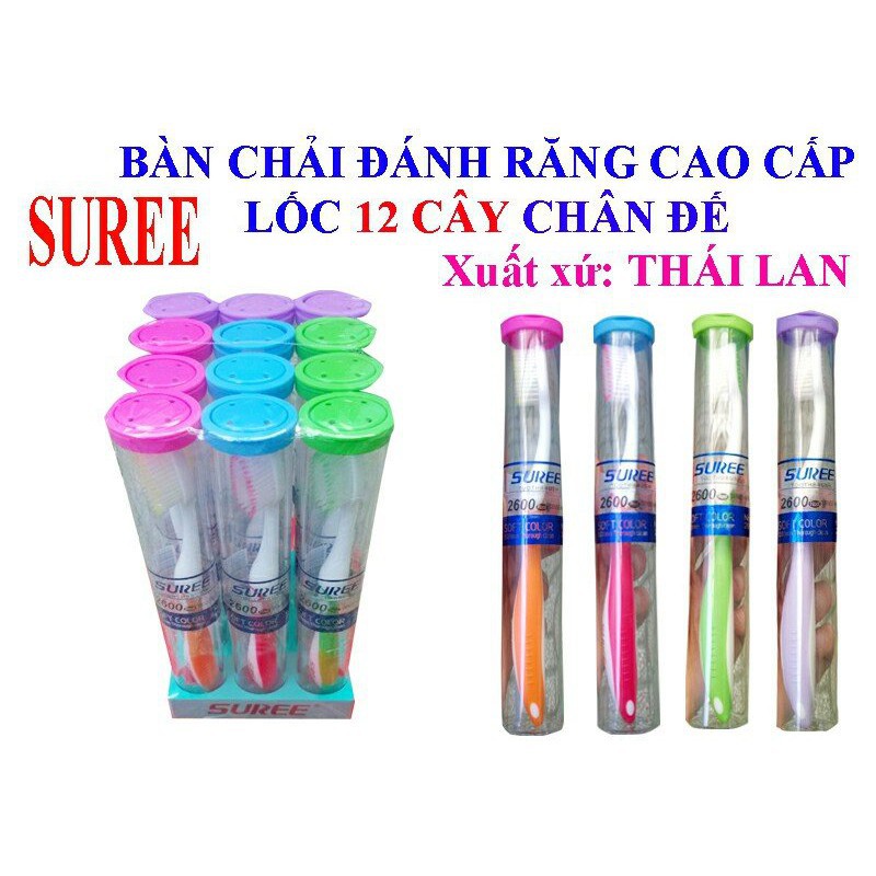 Combo Si 12 Bàn Chai Đánh Răng Thái Lan