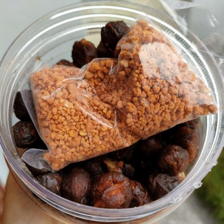 Me Lào Muối Tôm - Hủ 500g