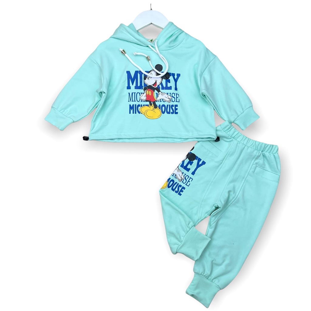 Bộ quần áo bé gái LITIBABY, chất nỉ, hình Mickey. Size 3 - 10 tuổi