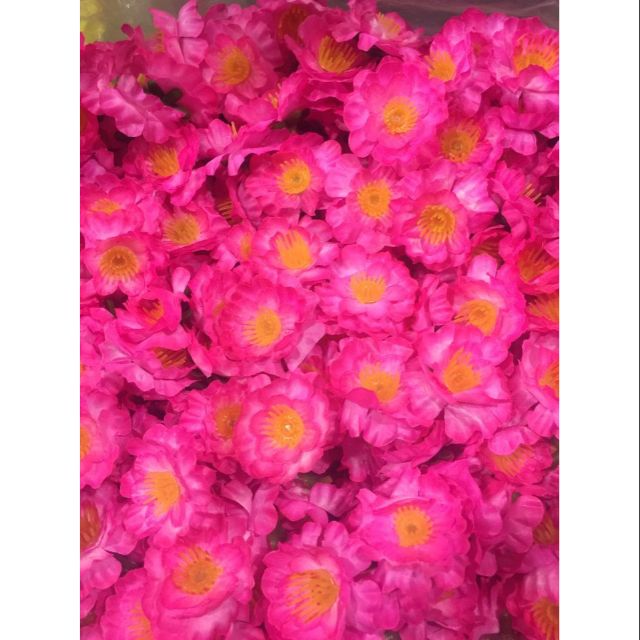 1 kg hoa đào rời