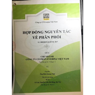 Ruột gối Everon Classic soft (cao trung bình, mềm)