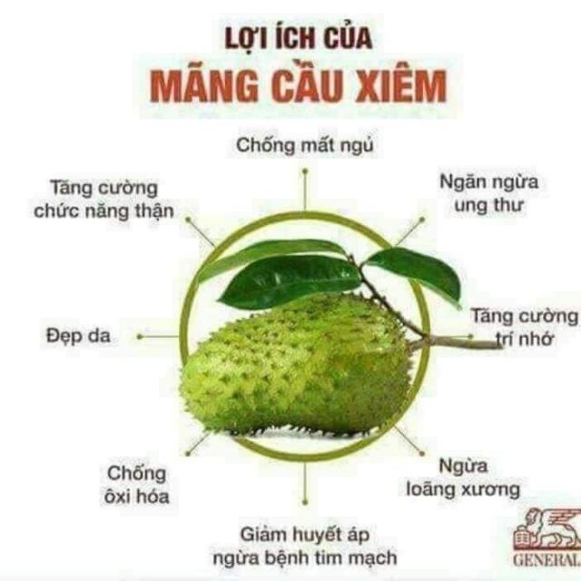 Trà mãng cầu xiêm Phụng Phát