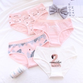 Combo 4 quần lót hình chim hạt siêu xinh