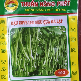 50g HẠT GIỐNG ĐẬU COVE LEO SIÊU QUẢ ĐÀ LẠT - HẠT GIỐNG CHỌN LỌC