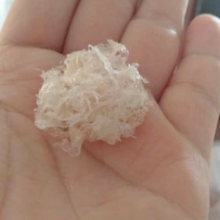 Com bo 5 túi Yến sào mini