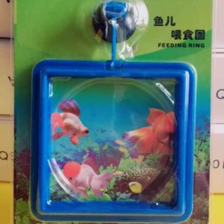 Vòng giữ thức ăn cho cá