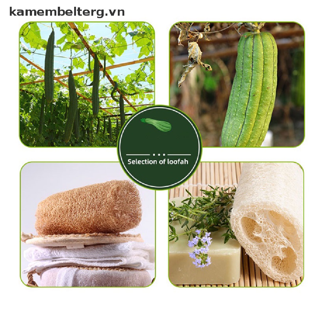 Bông tắm xơ mướng tự nhiên đeo tay tẩy tế bào chết làm sạch da