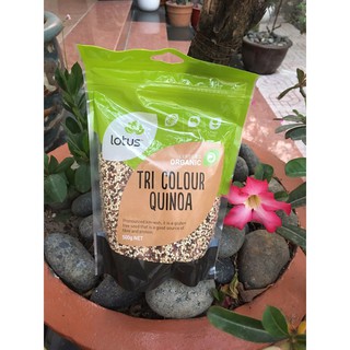 Quinoa diêm mạch 3 màu hữu cơ lotus 500g