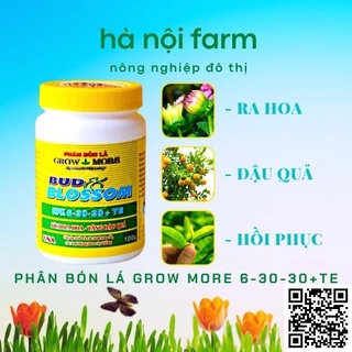 Phân Bón Lá Growmore 6-30-30+TE (Grow More 100g