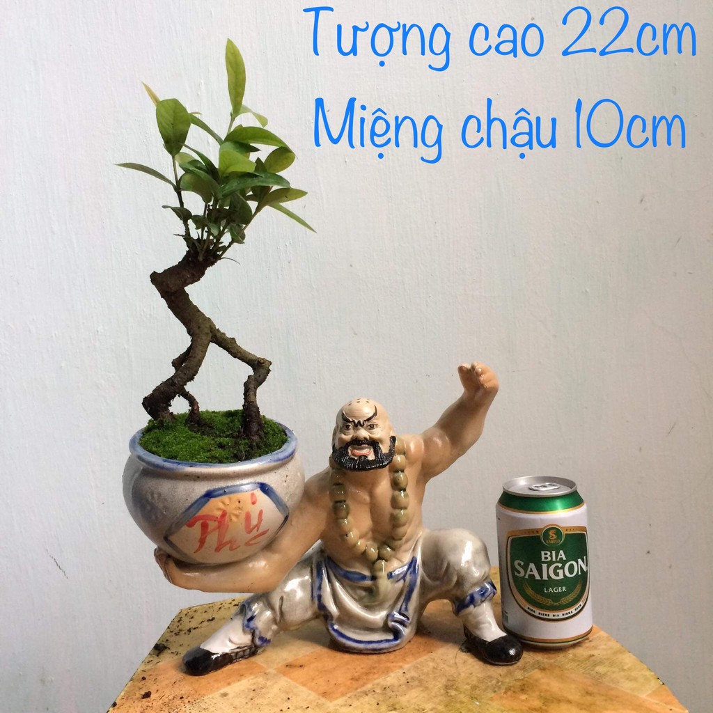 Chậu tượng bonsai Lỗ Trí Thâm bê vò