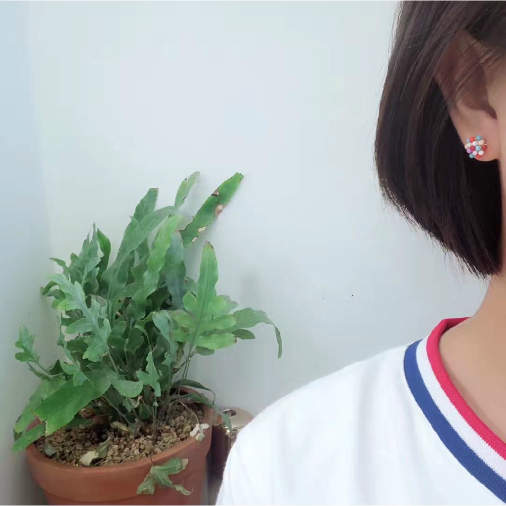 DDFI - S925 Korea Candy Ball Cute Color Simple Earrings A3A11