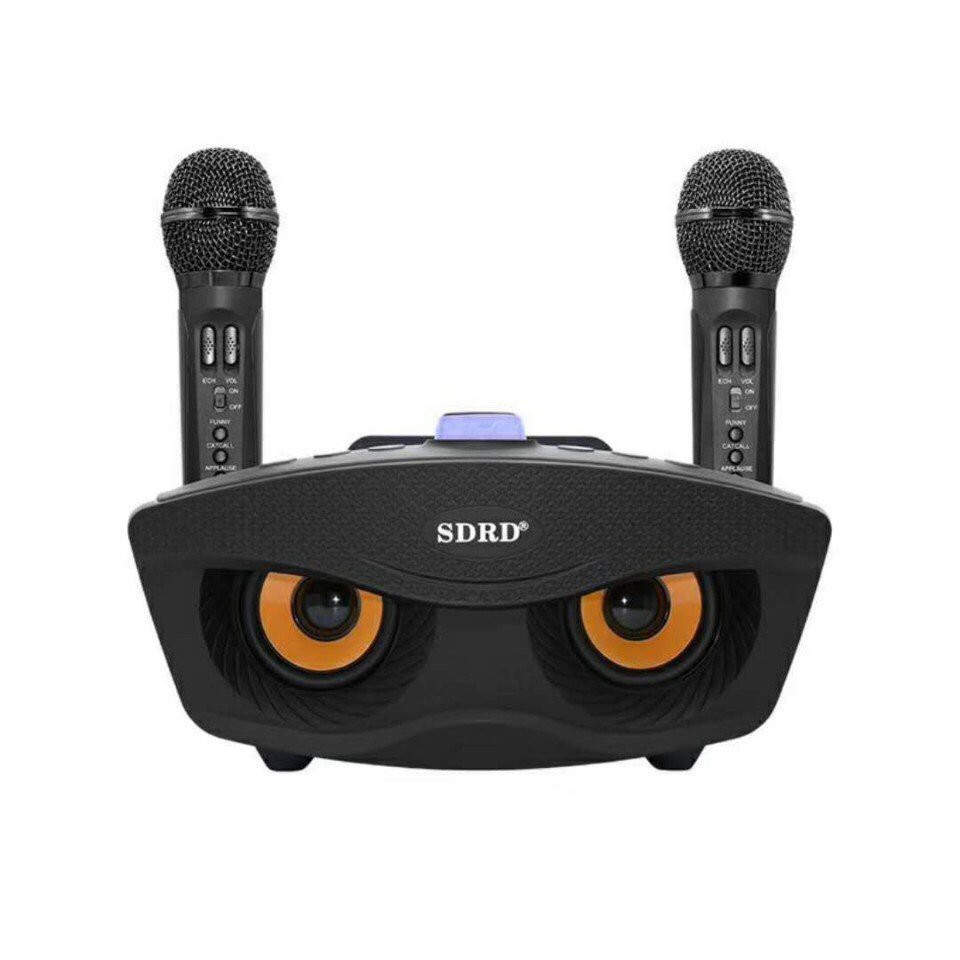 Loa Bluetooth Karaoke Sd306 Kèm 2 Mic