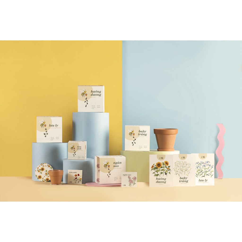 Hạt giống non-GMO - Lưu ly | non-GMO seed Summer Forget Me Not