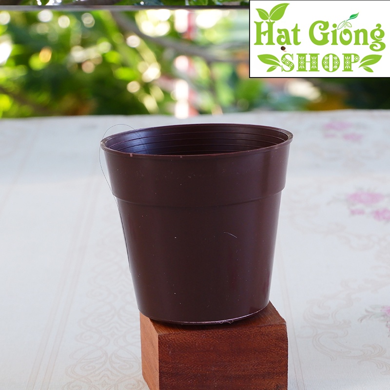 Chậu cây mini đang yêu - 9x8