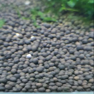 Phân nền thủy sinh (30k/1kg)