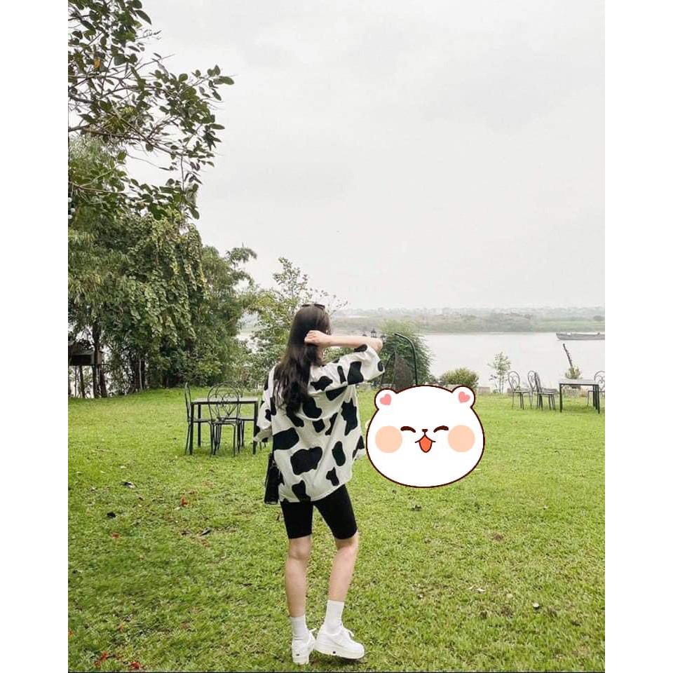 Sét áo phông bò sữa + quần legging ngố HARI0421 | BigBuy360 - bigbuy360.vn