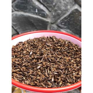 dế sấy sạch