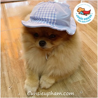 Nón vải tai bèo cho chó mèo nhỏ