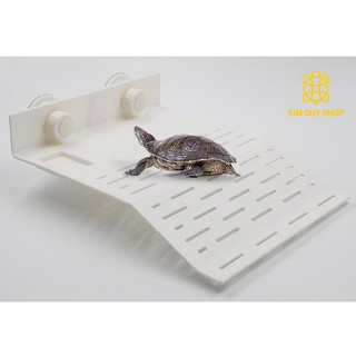 Máng leo cho rùa nước