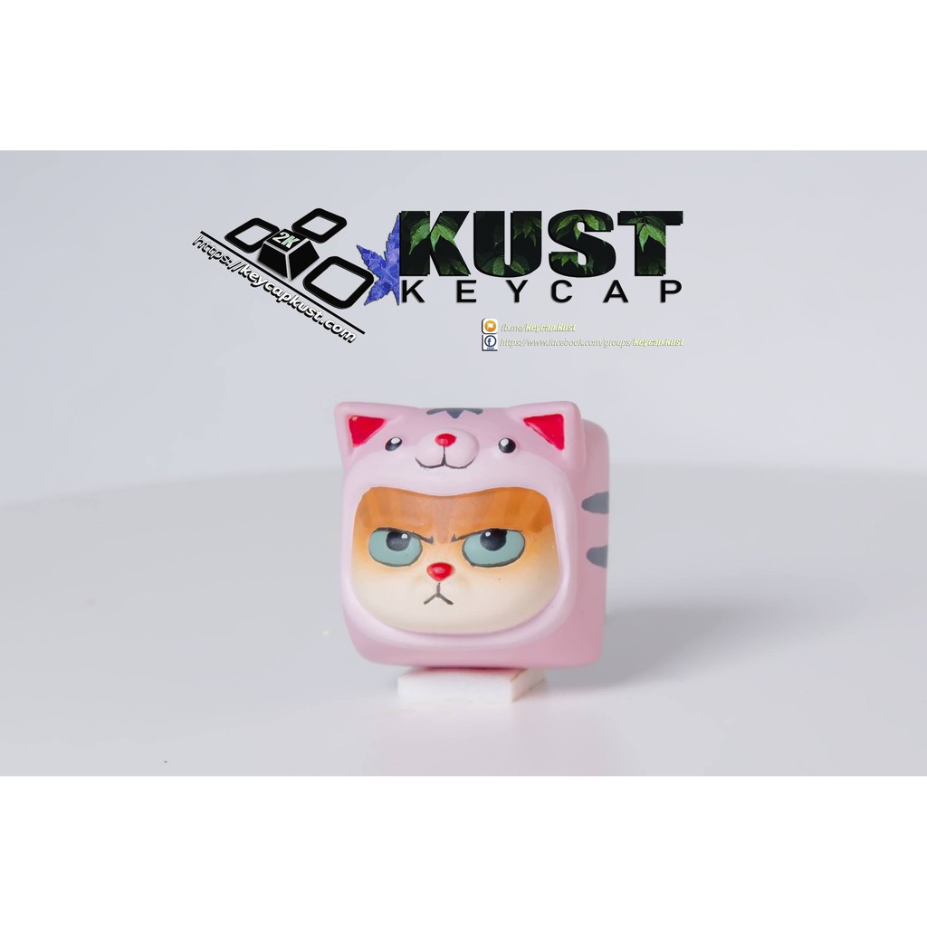 Keycap Cat In Cat