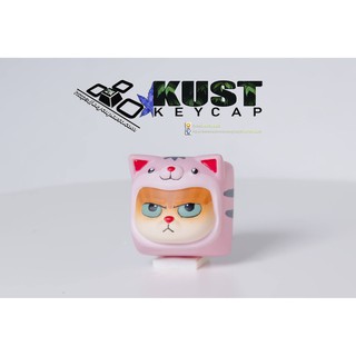 Keycap cat in cat