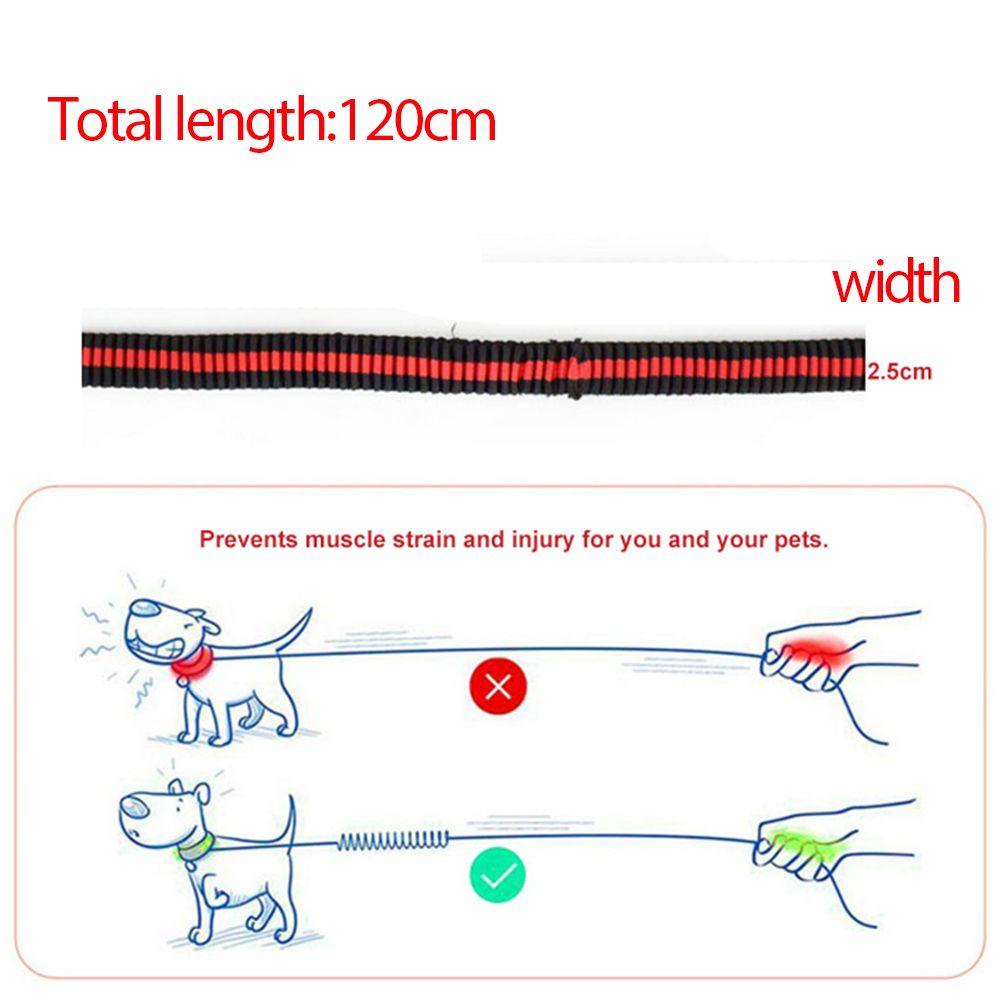 Vòng Cổ 120CM Cho Thú Cưng