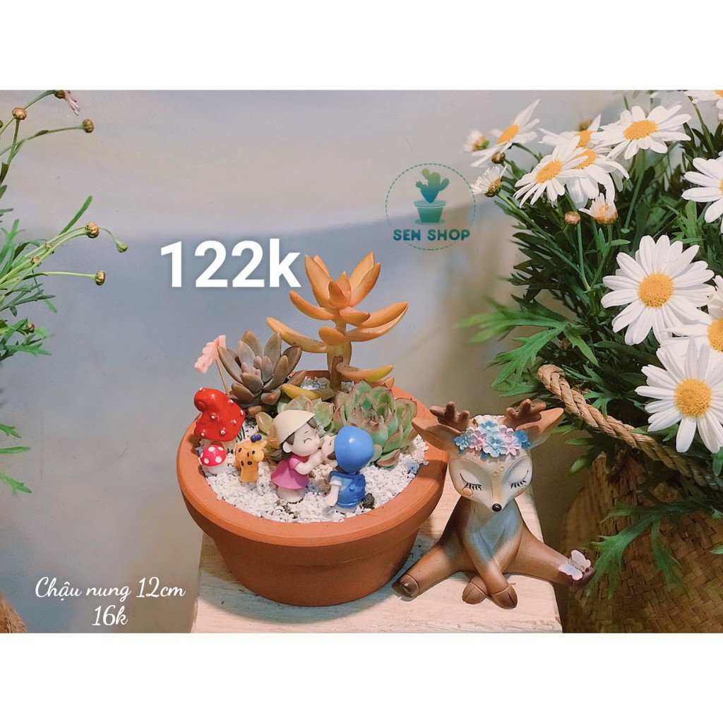 Chậu hoa sen đá mix tầm 100-199k .