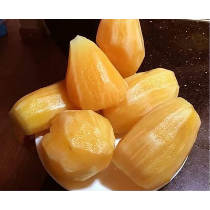 Combo 3Kg - Khoai Sâm Đất - Củ Sâm Đất - Có Thể Gọt Vỏ Ăn Liền