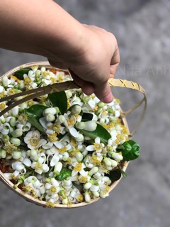 Nước cất hoa bưởi Pomely