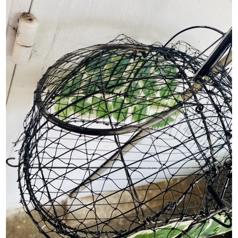 LỒNG BẪY CHÀO MÀO KẾT LÁ