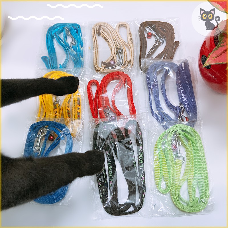 Dây dẫn kèm vòng cổ cho mèo size 1cm