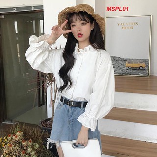 [ GIÁ XƯỞNG ] ÁO SƠMI CỔ BÈO - MSPL01