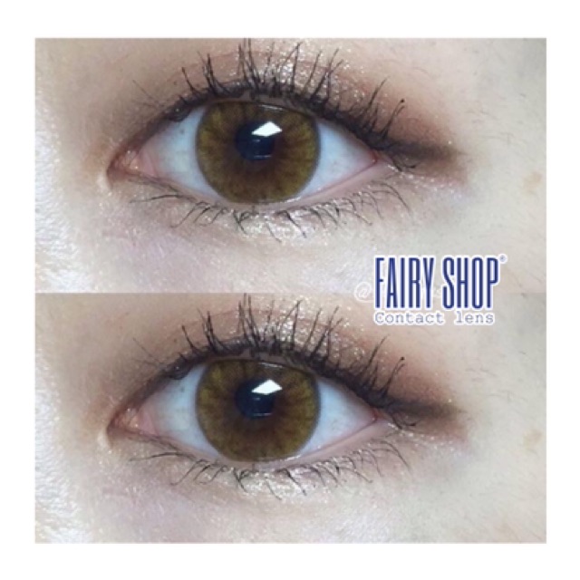 Áp tròng NOB BROWN 14.2mm - Kính Áp Tròng FAIRY SHOP CONTACT LENS