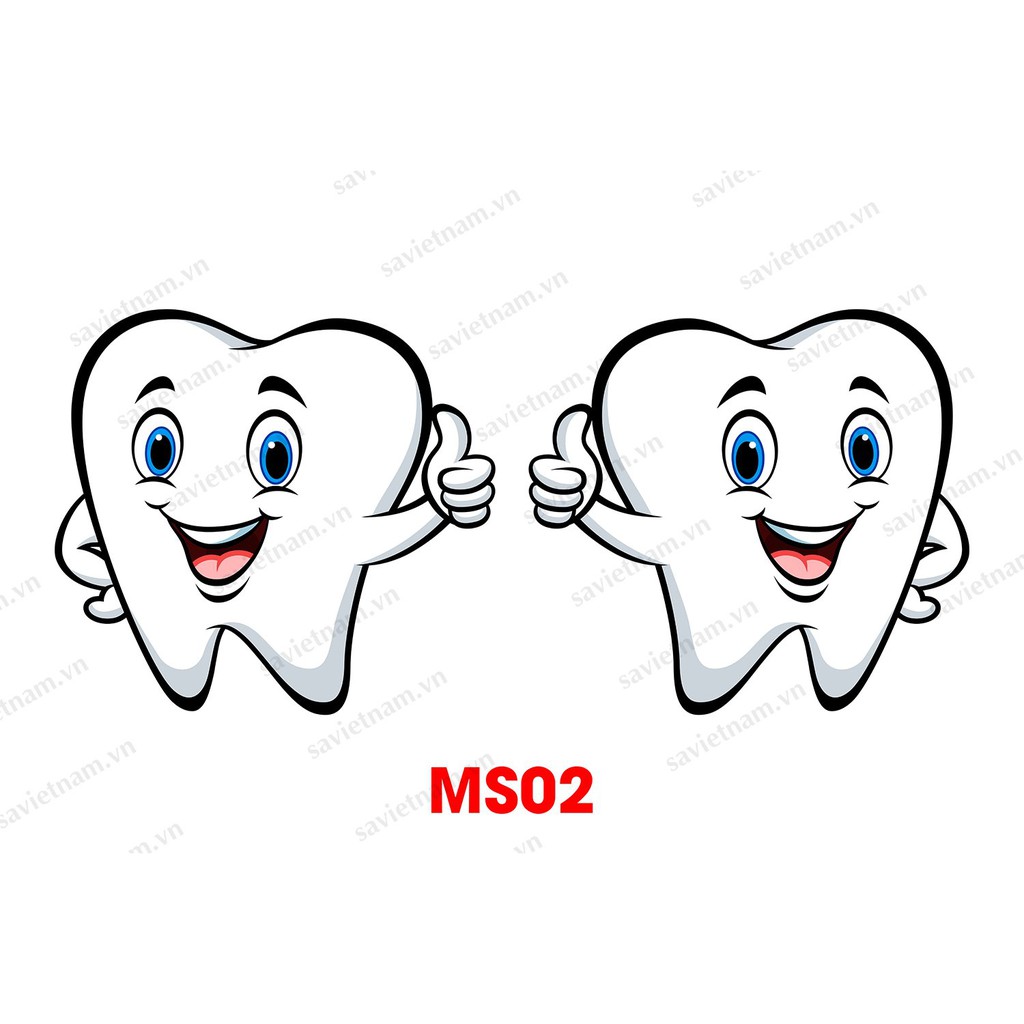 Cặp decal hình răng dán cửa kính phòng khám Nha khoa - E3 Audio ...