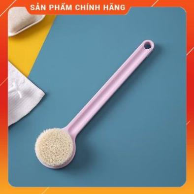 Cây Cọ Lưng Tắm Lông Mềm