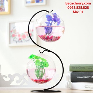 Bể cá mini đôi chữ s cỡ to 36