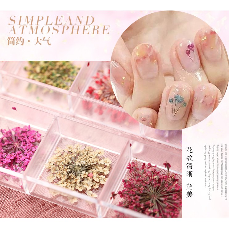 SET HOA KHÔ Nail CHÙM 12 MÀU