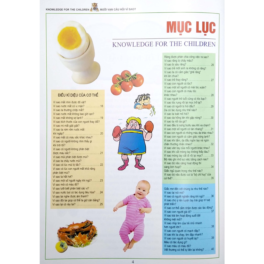 Sách Mười Vạn Câu Hỏi Vì Sao? - Bách Khoa Tri Thức Dành Cho Trẻ Em