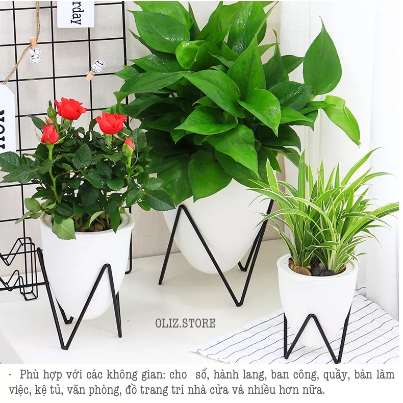 Chậu cây để bàn Oliz D09-I. Chậu trồng cây tự tưới nước cho cây. Bao gồm chân đỡ bằng thép