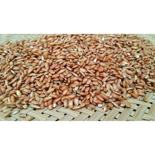 Gạo lức mầm Ngok Linh trồng tự nhiên 6 tháng không chất bảo quản - túi 1kg