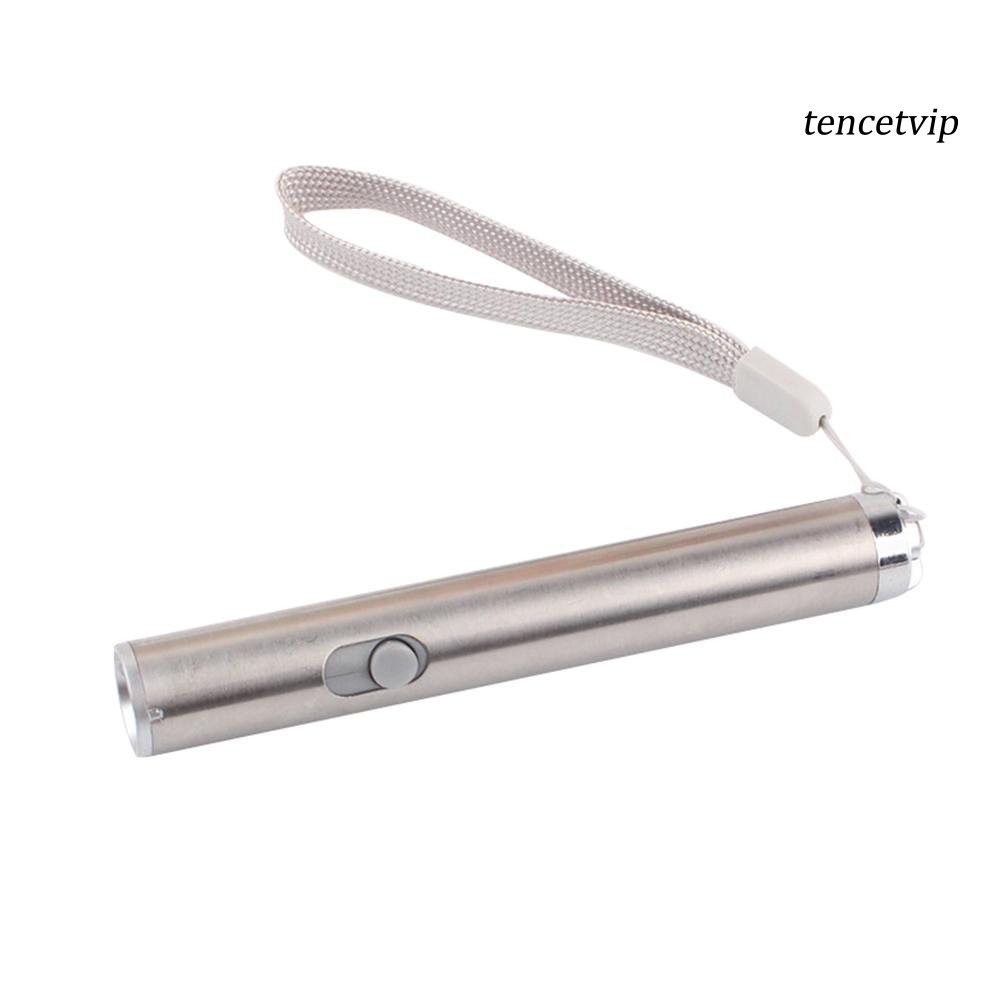 Bút Chỉ Laser 2 Trong 1 Tương Tác Thú Cưng Tiện Dụng