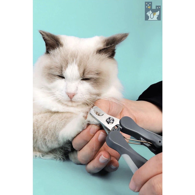 Bộ kềm cắt móng PAKEWAY cho chó mèo đa dạng nhiều màu sắc